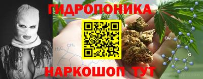 a pvp Пушкино
