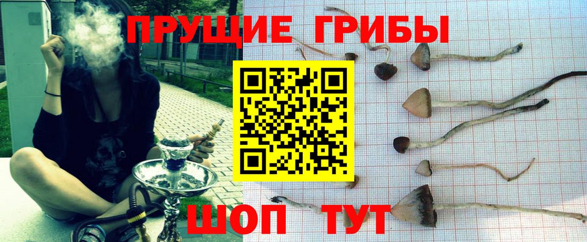 Псилоцибиновые грибы прущие грибы Семилуки